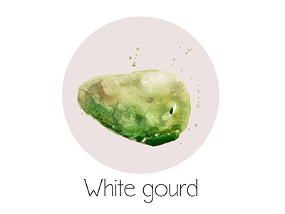 White Gourd fruit icon painting watercolor
