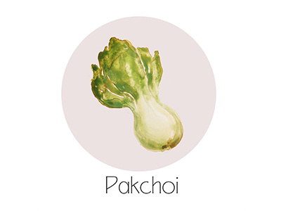 Pakchoi fruit icon painting watercolor