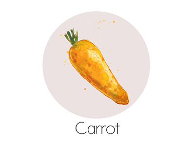 Carrot fruit icon painting watercolor