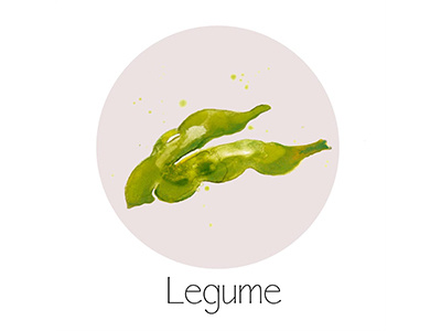 Legume fruit icon painting watercolor