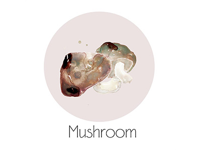 Mushroom fruit icon painting watercolor