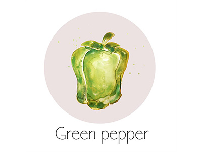 Green Pepper fruit icon painting watercolor