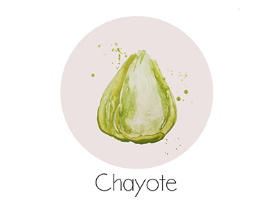 Chayote fruit icon painting watercolor