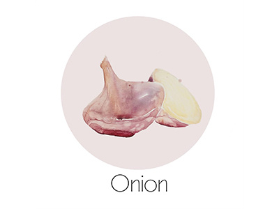 Onion fruit icon painting watercolor