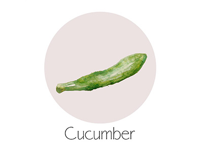 Cucumber fruit icon painting watercolor