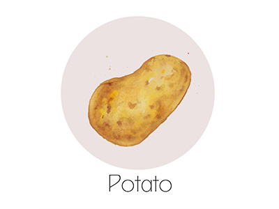 Potato fruit icon painting watercolor