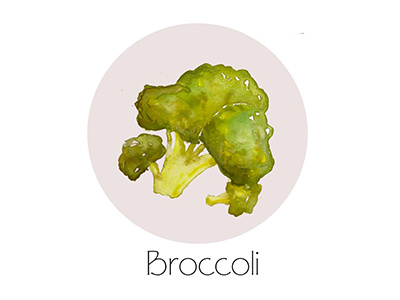 Broccoli fruit icon painting watercolor