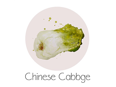 Chinese cabbage fruit icon painting watercolor
