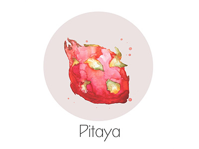 Pitaya fruit icon painting watercolor