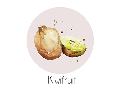 Kiwifruit fruit icon painting watercolor