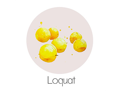 Loquat fruit icon painting watercolor