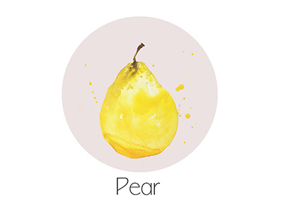 Pear fruit icon painting watercolor