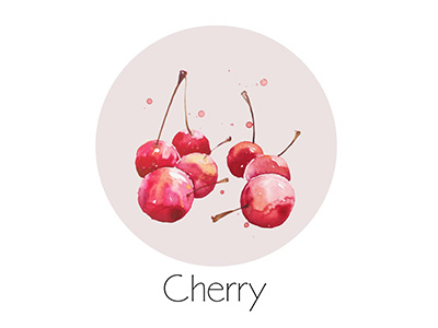 Cherry fruit icon painting watercolor