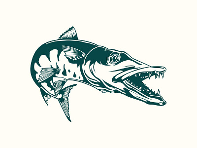 Barracuda No.2 barracuda drawing fish illustration logo mark vector