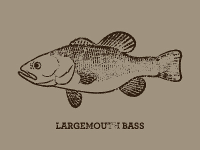 Largemouth