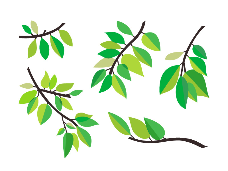 Assorted Leaves nature green illustration leaves assorted