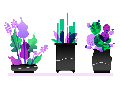 Purpley Greens bamboo cactus flowers illustration plants pots vector