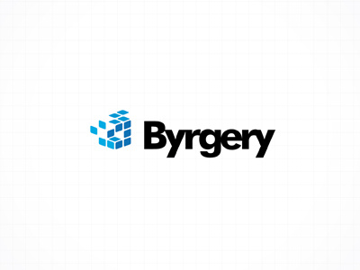 Byrgery Business Analytics blue business corporate logo mexico