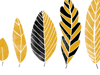 Leaves graphicdesign illustration