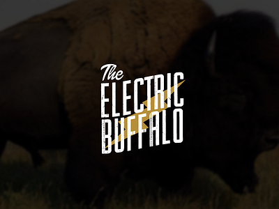 The Electric Buffalo bisonte buffalo fonts johnmoreno logo