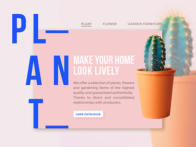 Plant Shop button cactus catalogue layout menu plant product shop slider store ui ui design