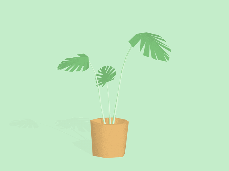 Plant and friend butterfly c4d low poly plant