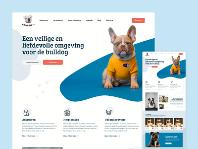 Bullenhuisje animals design dogs playful ui uidesign ux uxdesign webdesign website