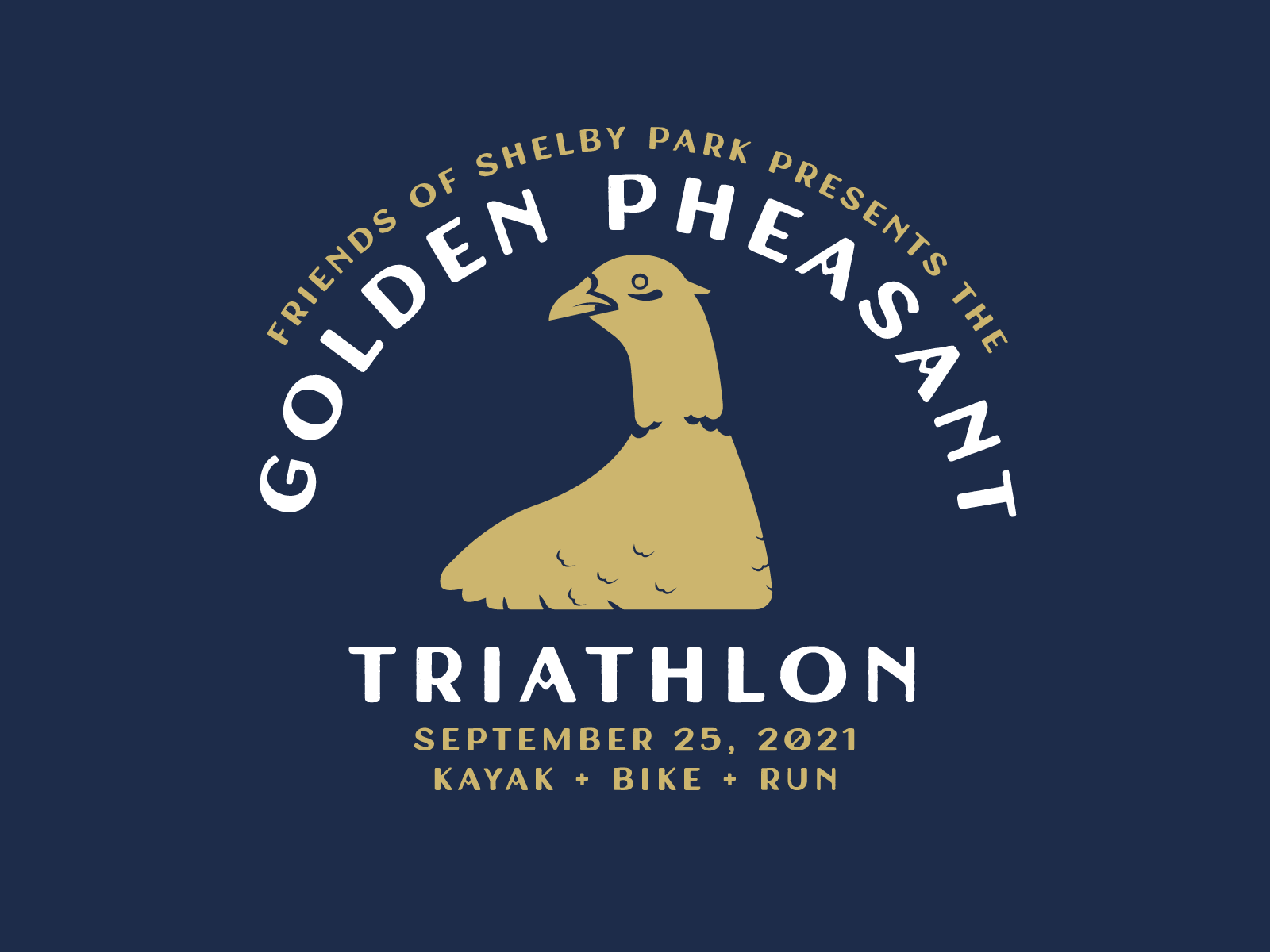Golden Pheasant by Rob Allgood on Dribbble