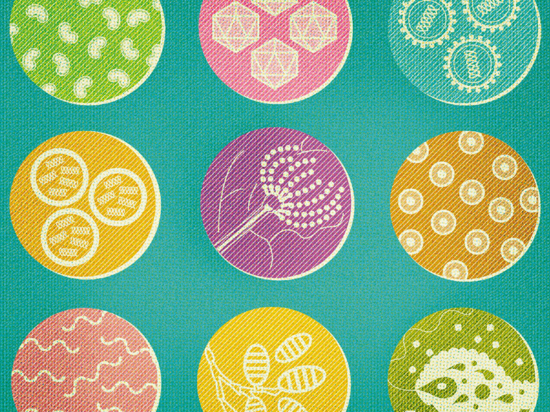 GERM.A.PEDIA scientific illustration microscopic health science illustration