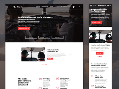 A landing page for a pilot academy ✏ ✈