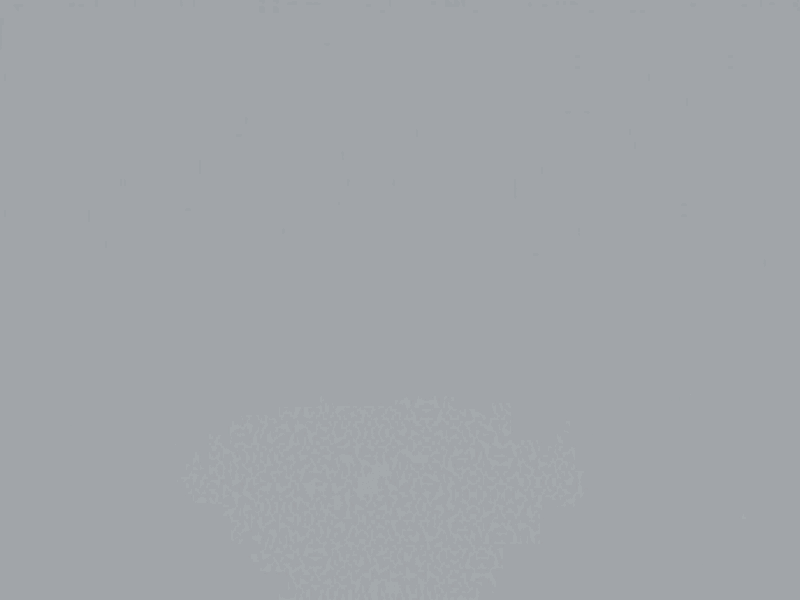 Home animate 3D by Noam on Dribbble