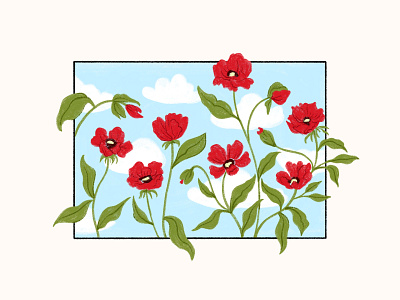 Poppies branding design flourishing flowers illustration poppies