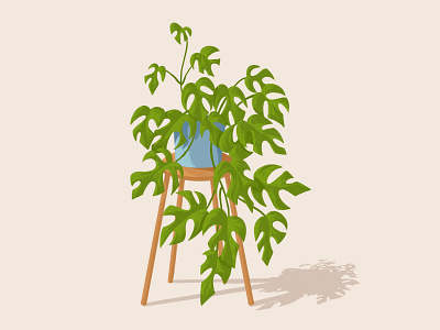 Planty Vibes branding design flourishing home decor house plants illustration monstera