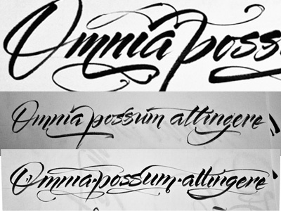 Omnia brush calligraphy latin tattoo