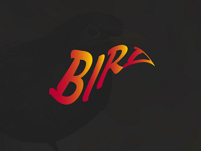 BIRD TEXT 3d animation bird branding design flat graphic design illustration illustrator logo minimalist modern motion graphics text ui ux vector