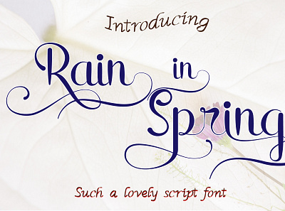 Rain in spring font aescripts aesthetics beautiful font calligraphy handlettering handwritten invitation font lettering fonts lovely font lovelyfont script