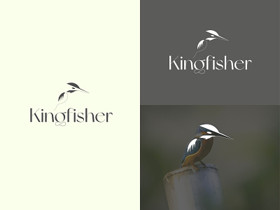 Kingfisher brand bird logo brand identity branding corporate identity design graphic design kingfisher kingfisher logo logo logo design logo folio logotype minimalist logo