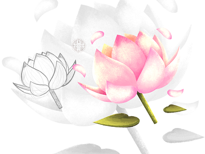Lotus Icon Design art design icon design illustration illustrator logo procreate raster illustration ui