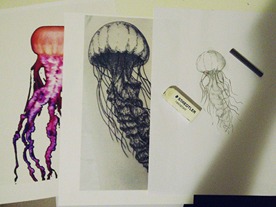 Jellyfish Tattoo sketch tattoo