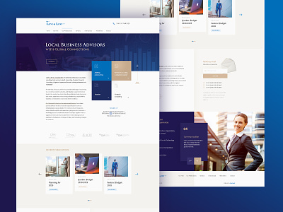 Levi & Levi design dexim finance landing page landing page design ui design website