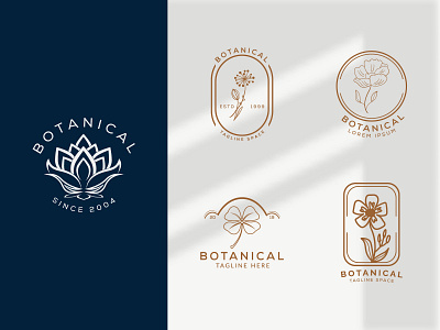 Floral element Botanical Hand Drawn Logo with Wild Flower art botanical botanical logo set branding business concept element emblem flower graphic design hand drawn logo minimal nature organic simple symbol template vector vintage