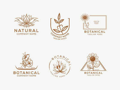 Floral element Botanical Hand Drawn Logo