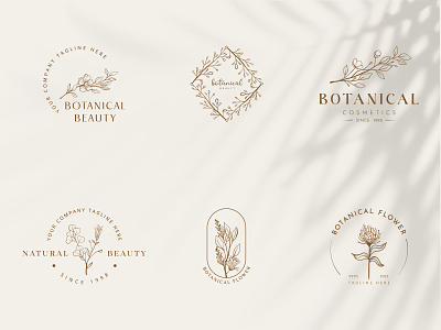 Beauty botanical flowers botanical illustration  botanical logo