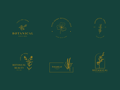 Botanical Floral element Hand Drawn Logo botanical logo branding elegent emblem flower graphic design hand drawn leaf logo minimal natural organic simple symbol template vector