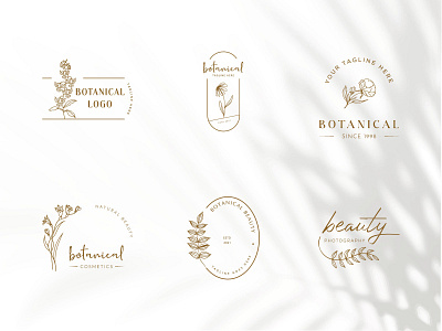 Botanical Floral element Hand Drawn Logo with Wild Flower