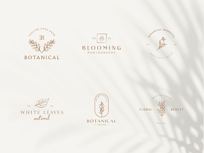 Botanical Floral element Hand Drawn Logo with Wild Flower beauty botanical logo branding decoration elegent emblem floral flower hand drawn leaf logo nature organic plant sign spa symbol template vector