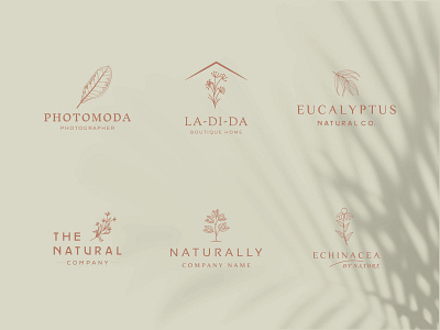 Botanical Floral element Hand Drawn Logo with Wild Flower. art beauty branding concept creative design element flower graphic design hand drawn logo illustration leaf logo organic photography simple spa template vector vintage