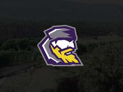 Mountaineers :: School Rebrand gray logo logo design mascot modern mountaineer mountains purple rebrand rebranding white yellow