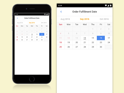 Date Pick for Fulfillment Order mobile ui ux