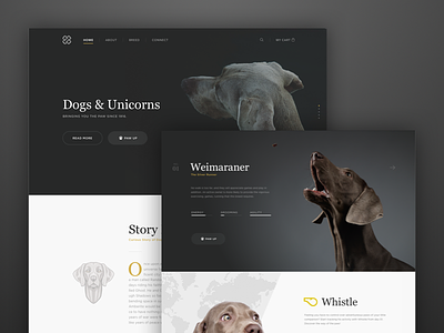 Dogs & Unicorns app clean dashboard e commerce fashion minimal template ui ux web website
